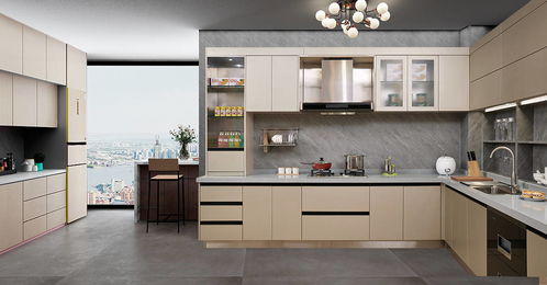 澳比德深度解析 定制橱柜与整体橱柜，如何选择最适合你的厨房？