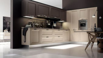 佰丽爱家 定制理想厨房，定义全屋美学